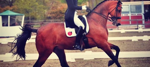 Elize Kettner op een paard
