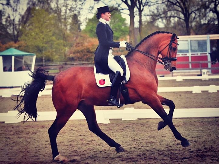 Elize Kettner op een paard